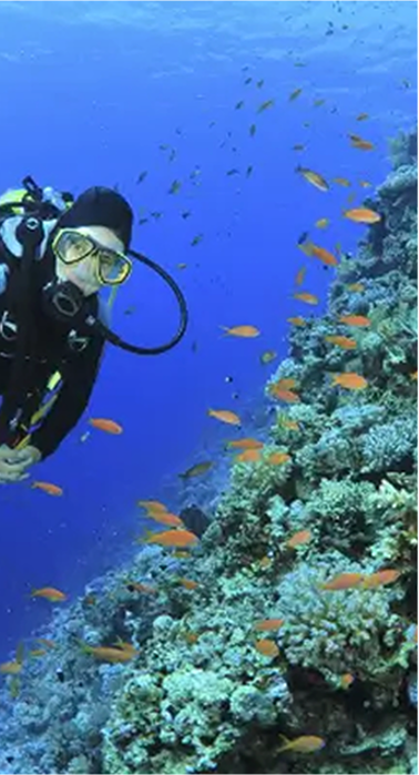 Scuba Diving